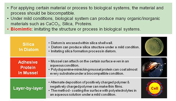 Development of Biomimetic/Biocompatible Reactions